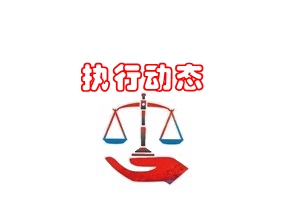 律师办理强制执行法律业务操作建议流程（附法律文书）